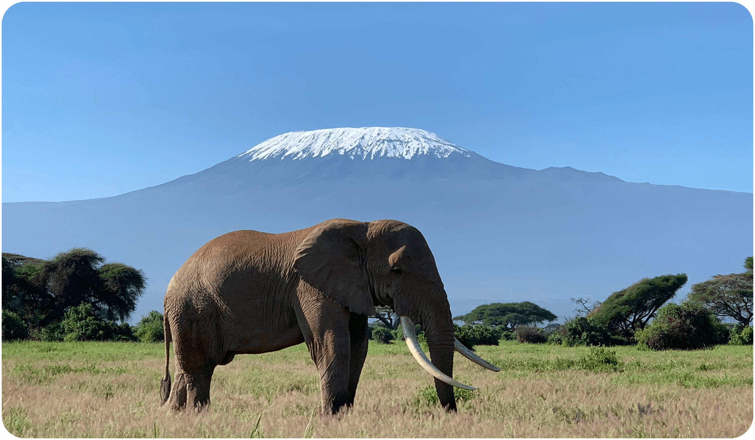 Amboseli